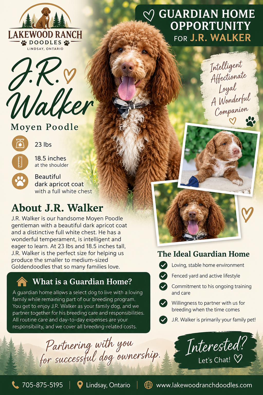 J. R. Walker