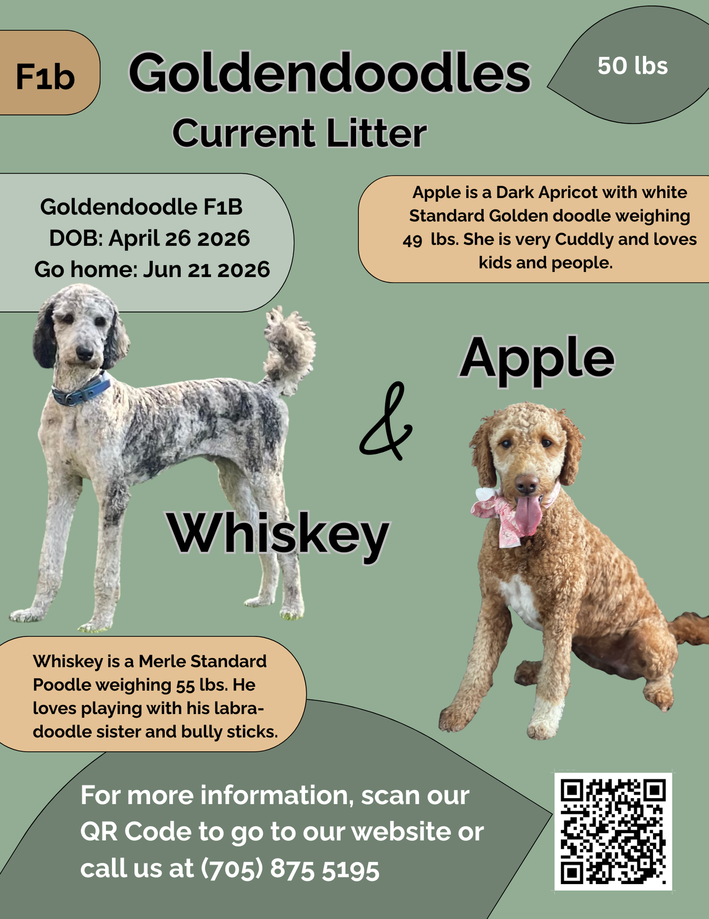 Apple's Brown Collar