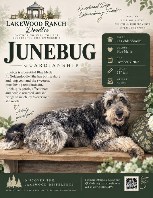 June Bug