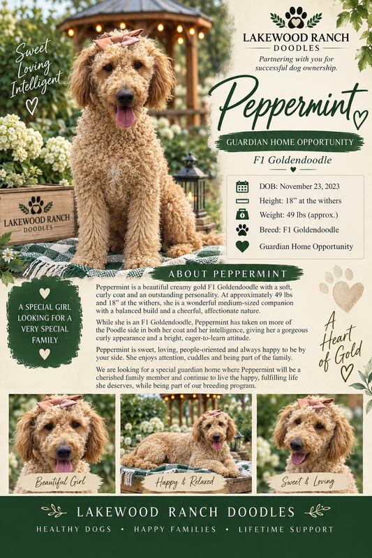 Peppermint