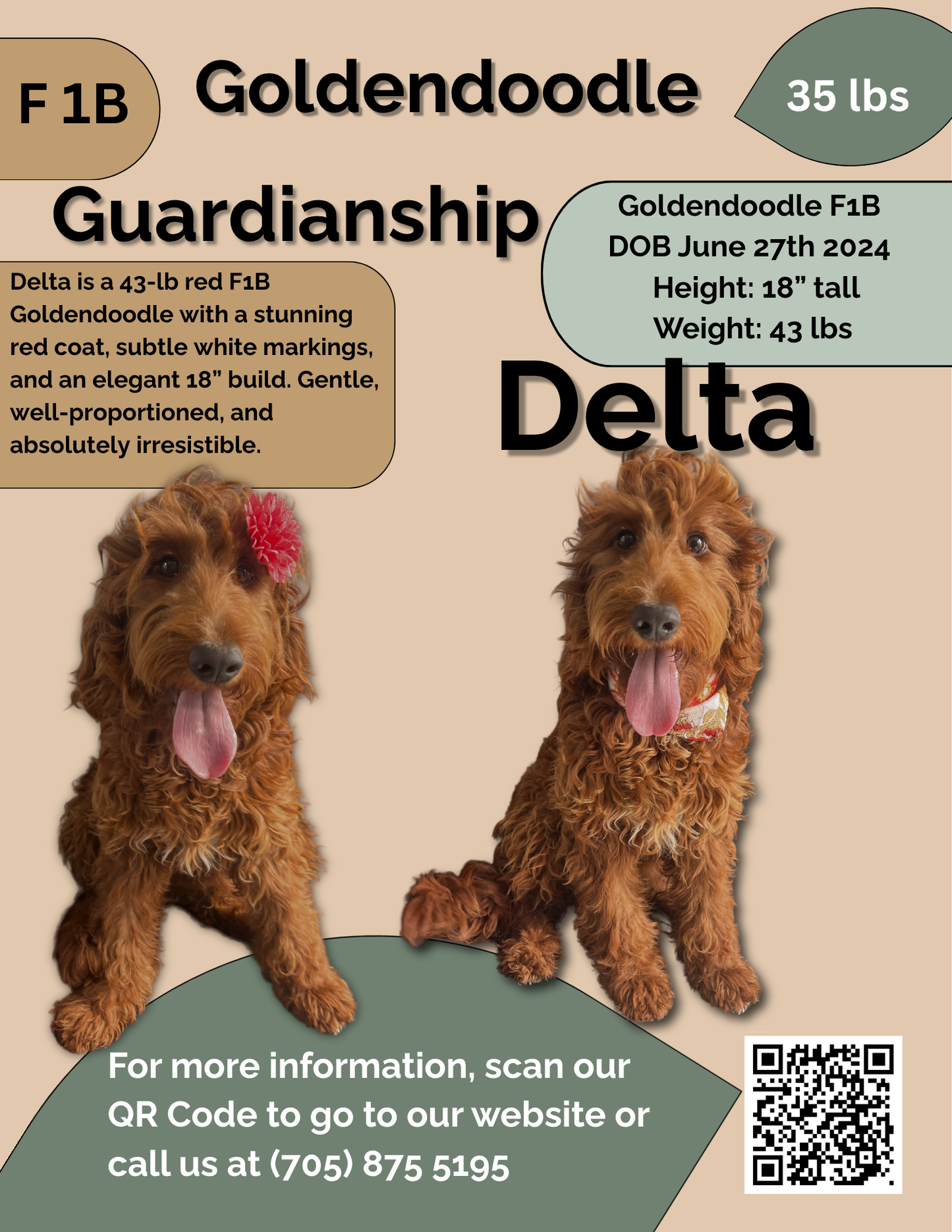 Delta