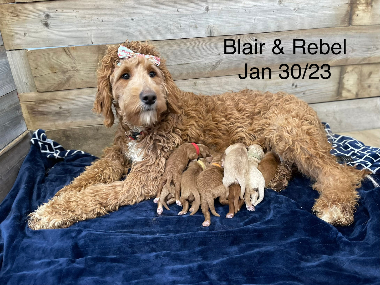 Blair