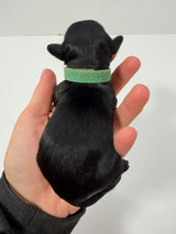 Charlie Green Collar Male