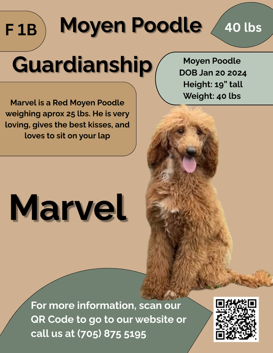 Marvel