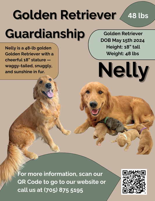 Nelly