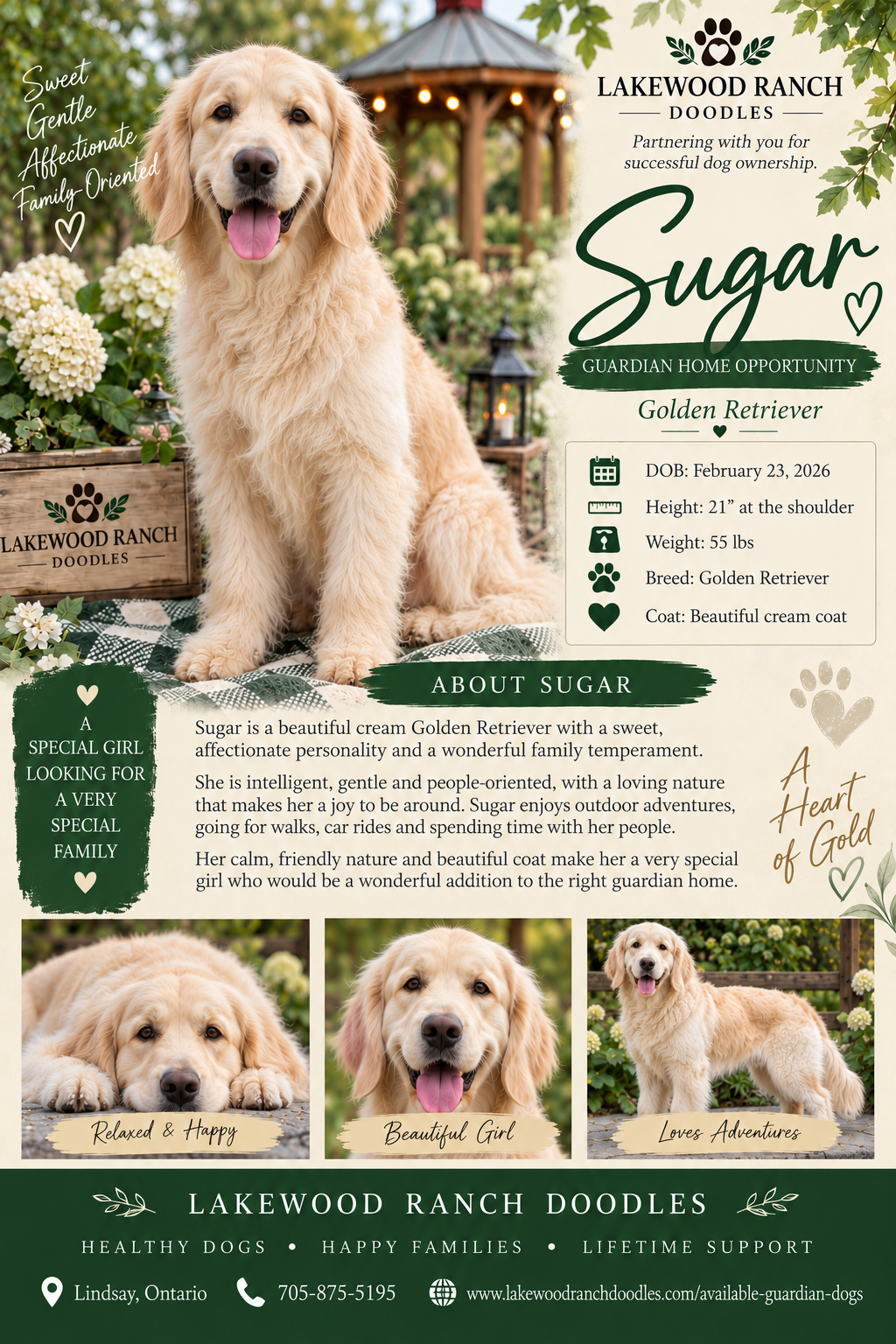Sugar