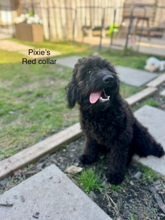 FRED