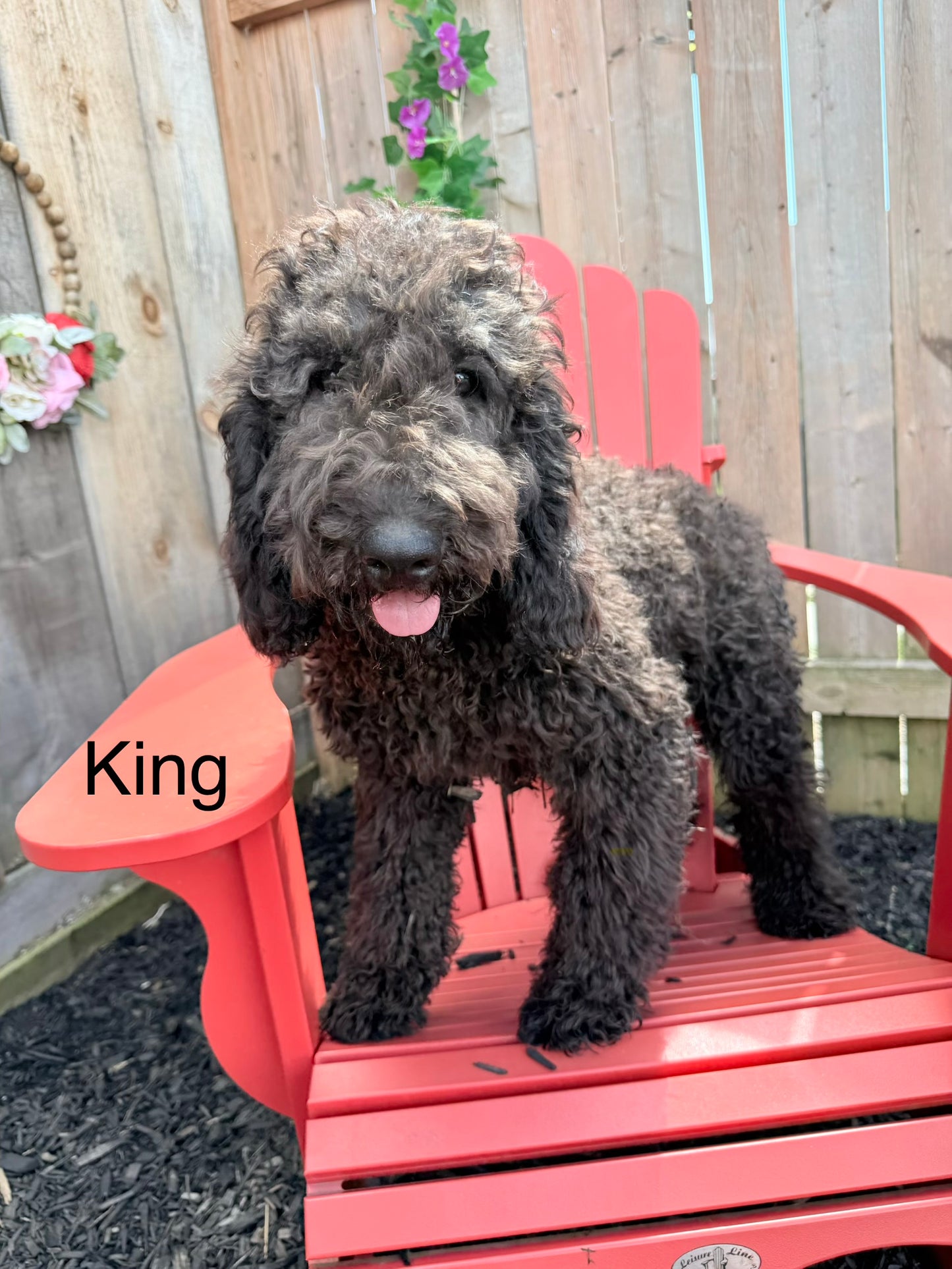King