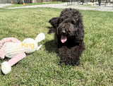 King